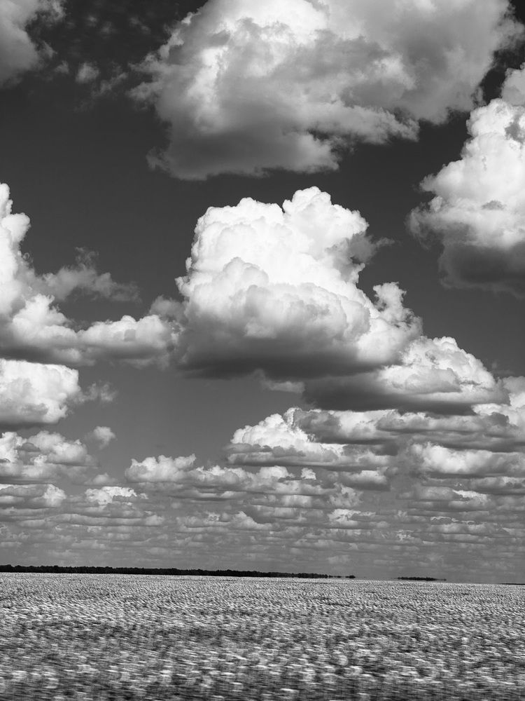 Photograph by Арина Бурда