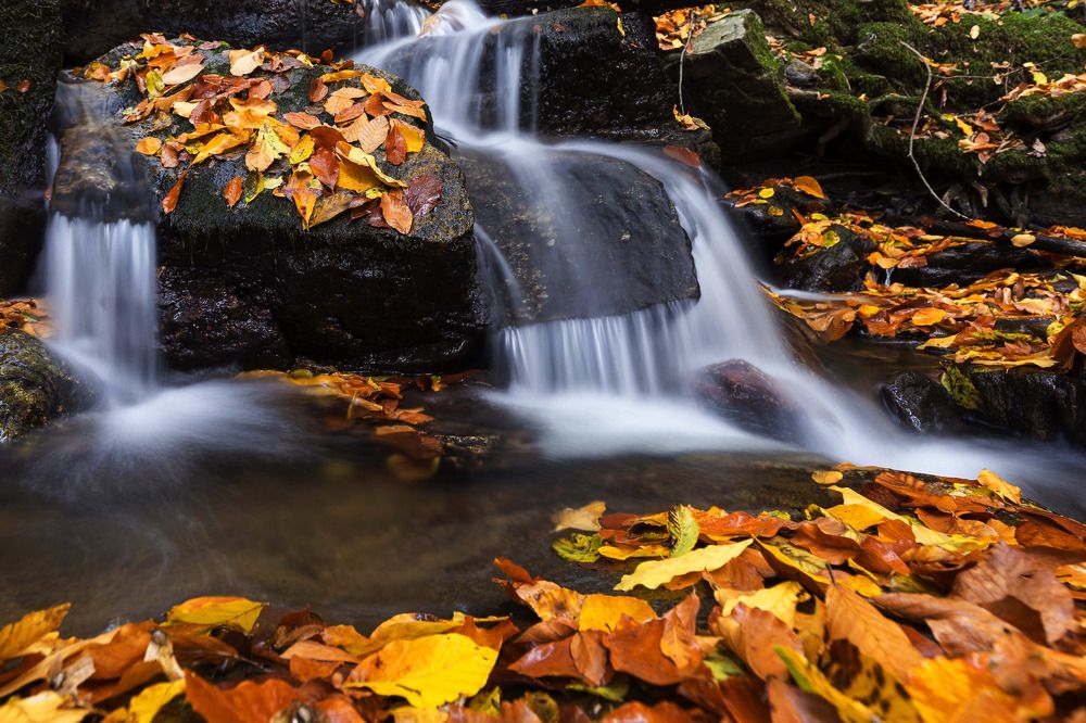 Photograph by Yilmaz Keles