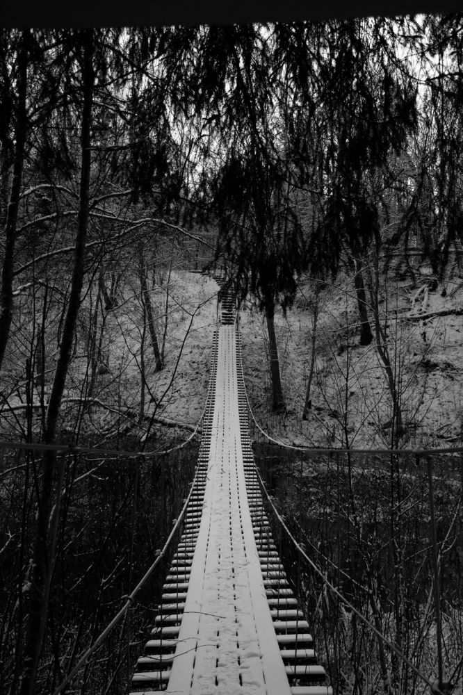 Photograph by Ксения Малютина