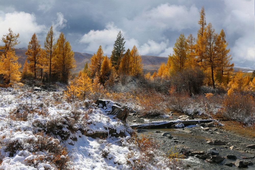 Photograph by Галина Хвостенко