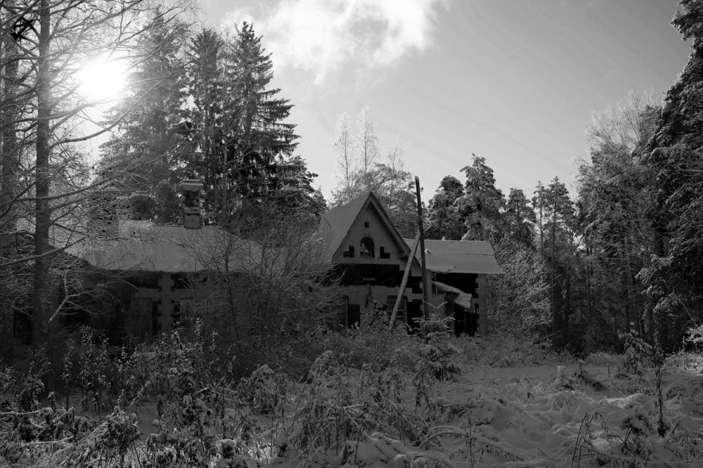 Photograph by Ксения Малютина