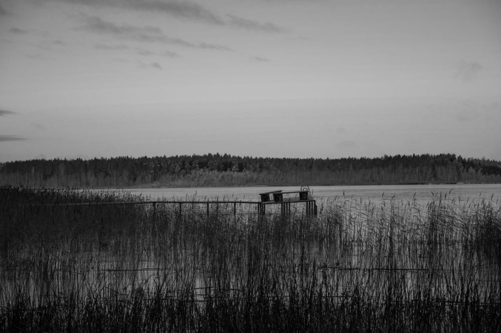 Photograph by Ксения Малютина