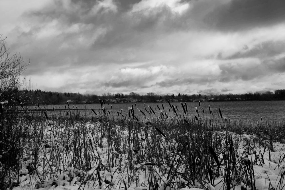 Photograph by Ксения Малютина