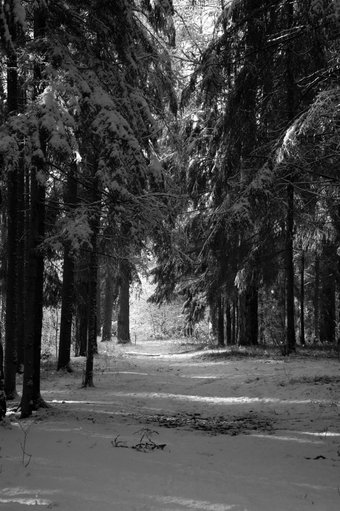 Photograph by Ксения Малютина