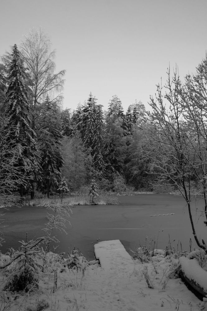 Photograph by Ксения Малютина