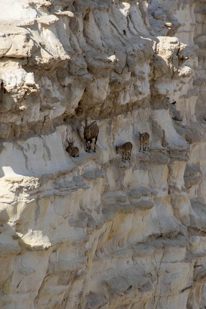 Photograph by Валентина Лопаткина