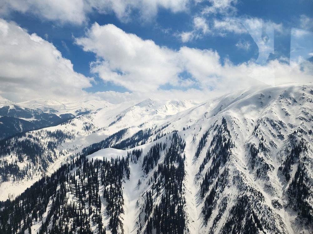 Photograph by G GOVIL