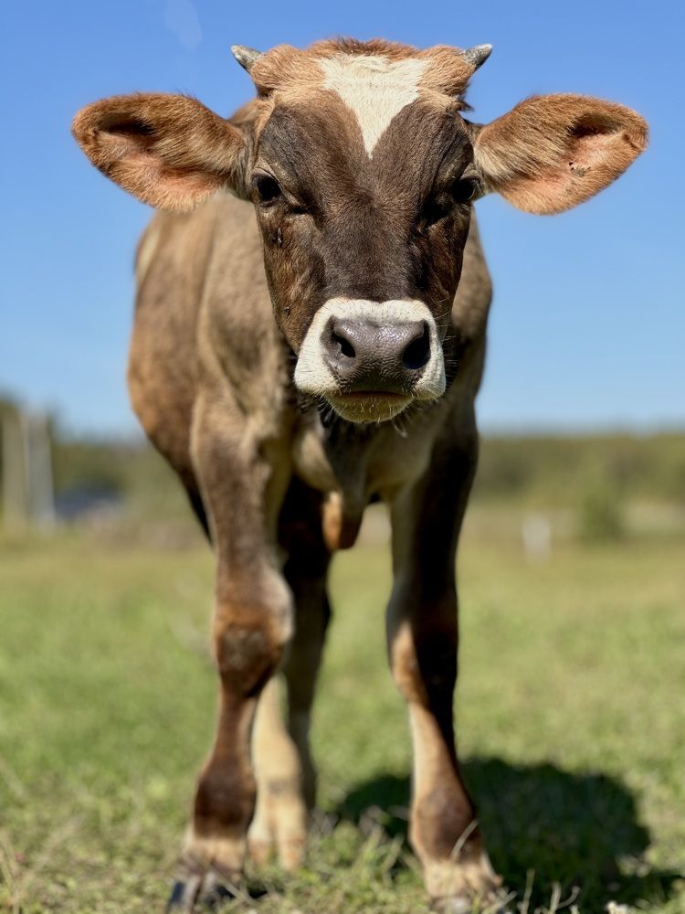 Photograph by Светлана