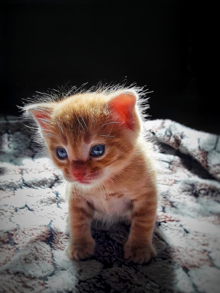 Photograph by Марина Мальцева