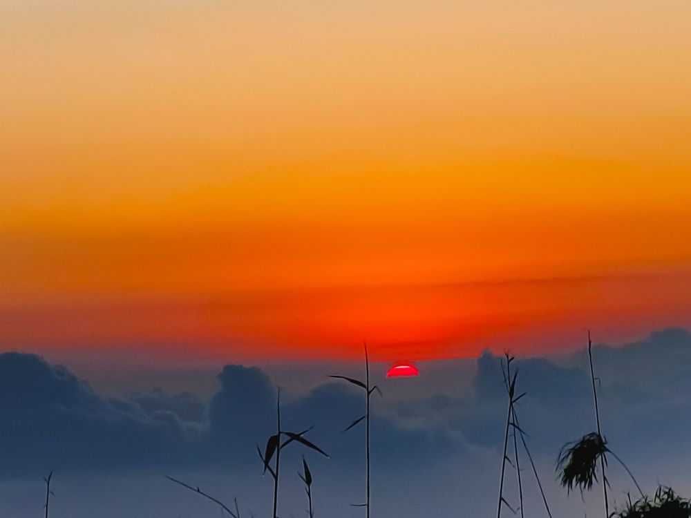 Photograph by Subhadip Banerjee Photography