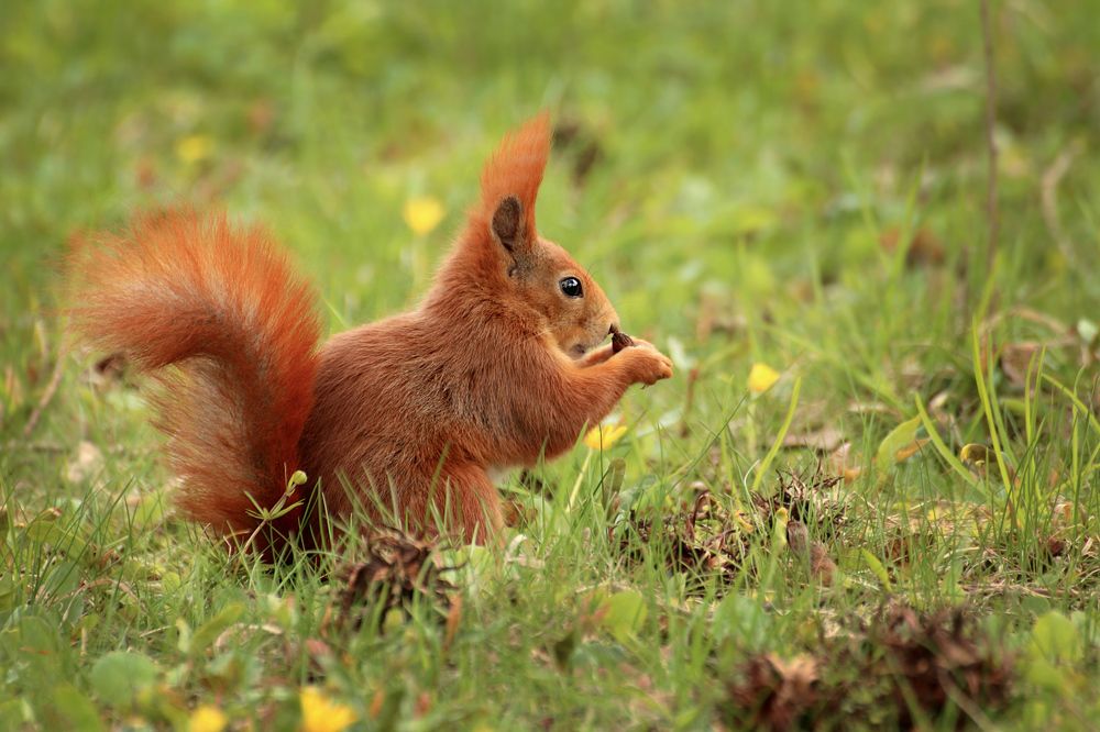 Photograph by Шруб (Беляева) Татьяна