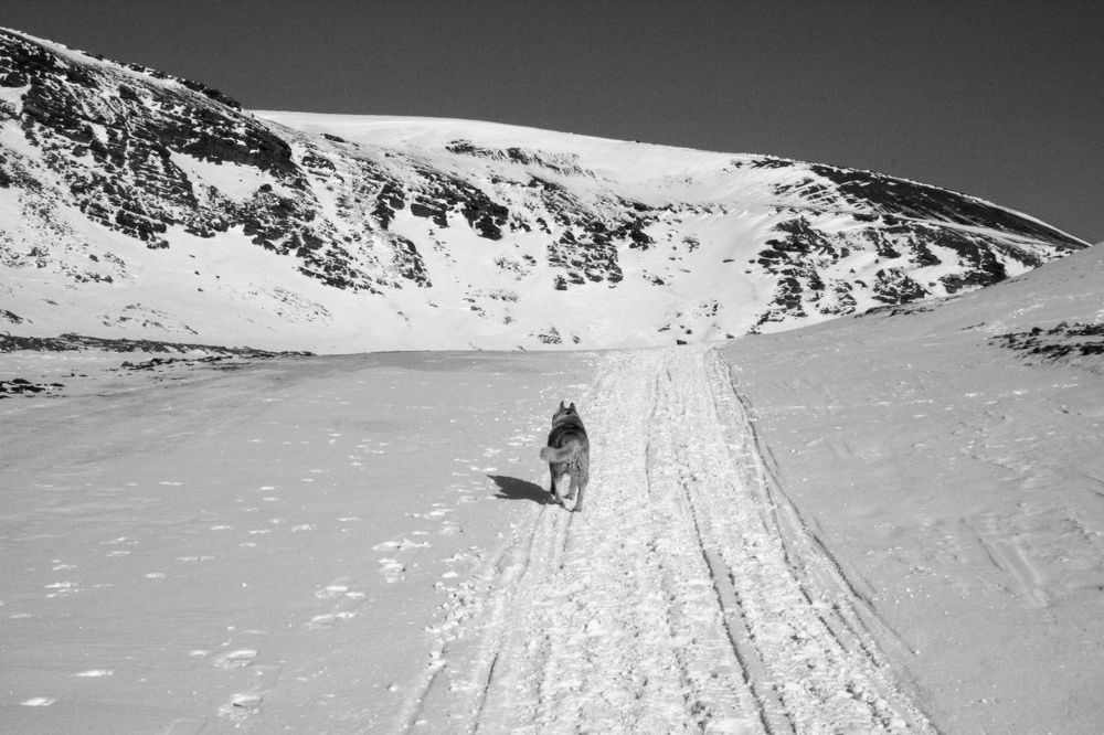 Photograph by Илья Сторожко