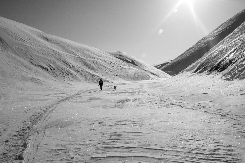 Photograph by Илья Сторожко