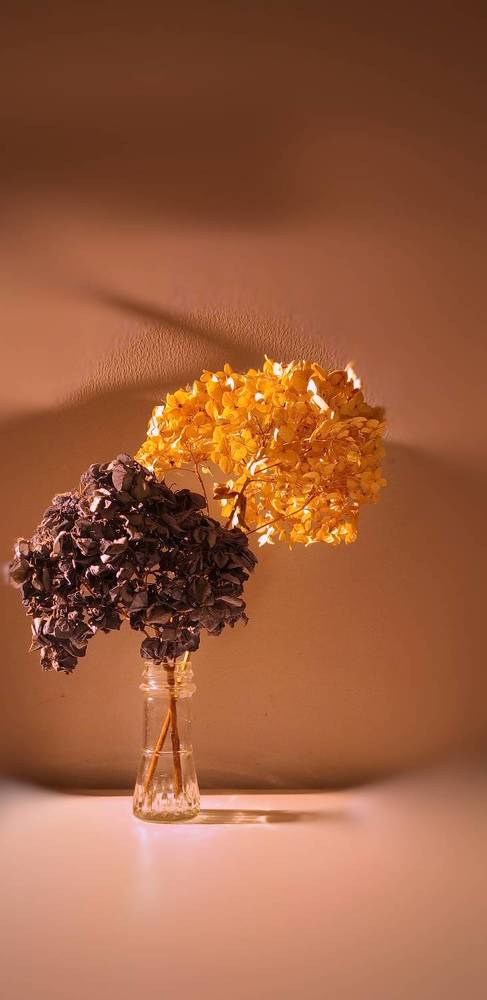 Photograph by Елена Гостева