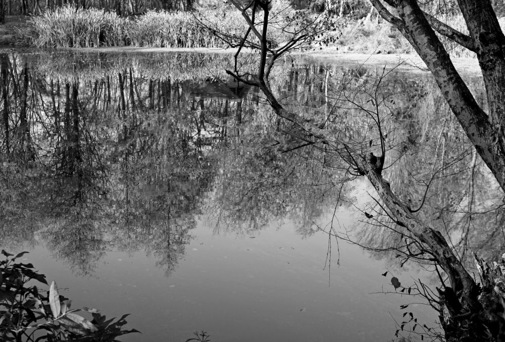 Photograph by Николай Немчанинов