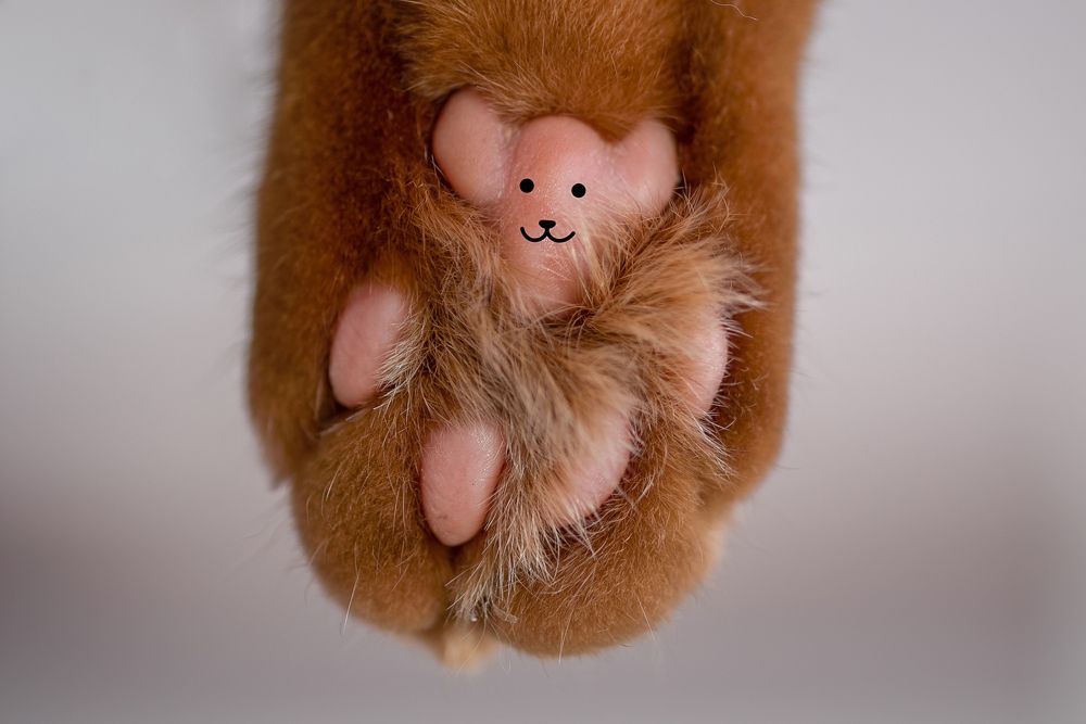 Photograph by Кадырова Марина