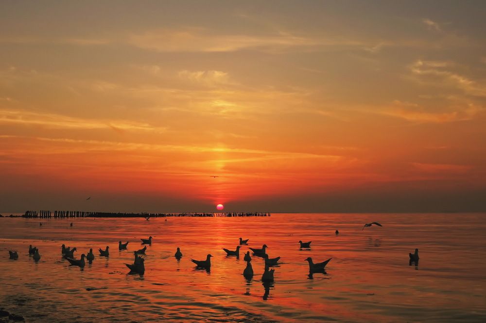 Оранжевый вечер