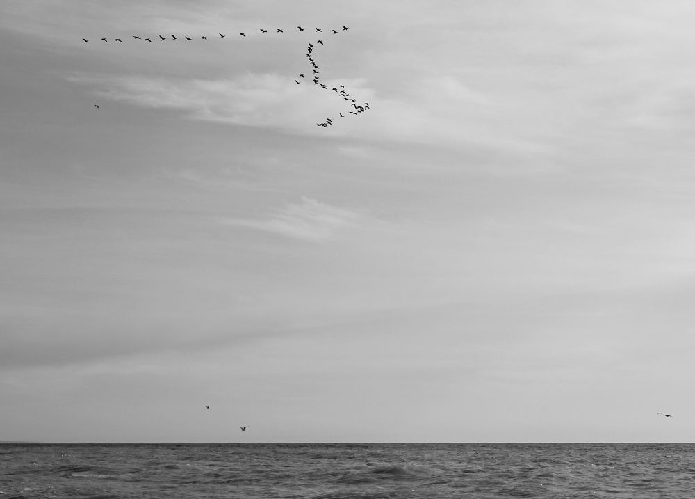 Photograph by Николай Немчанинов