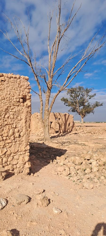 Call of the wilderness