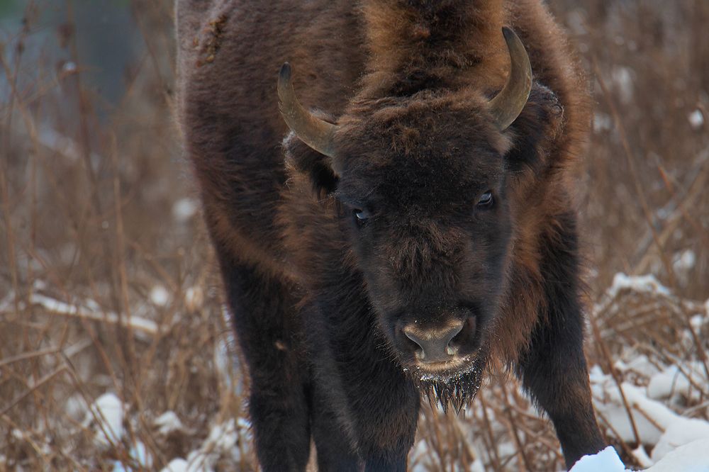 Photograph by  Marina