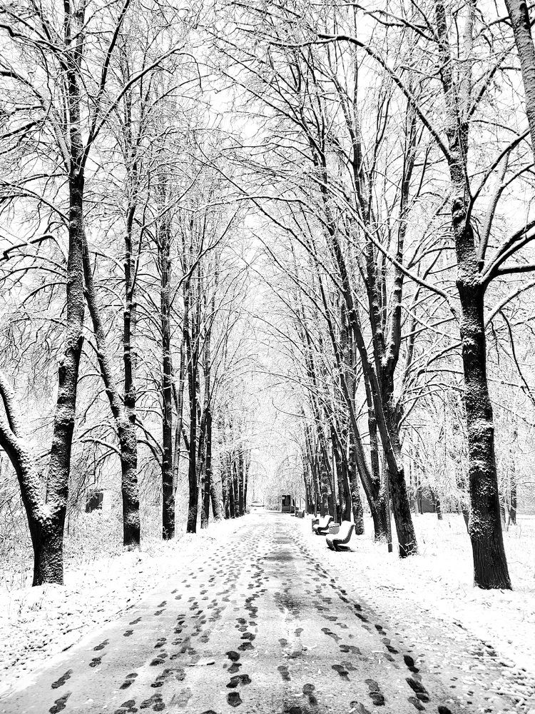 Photograph by Angelina Bukina