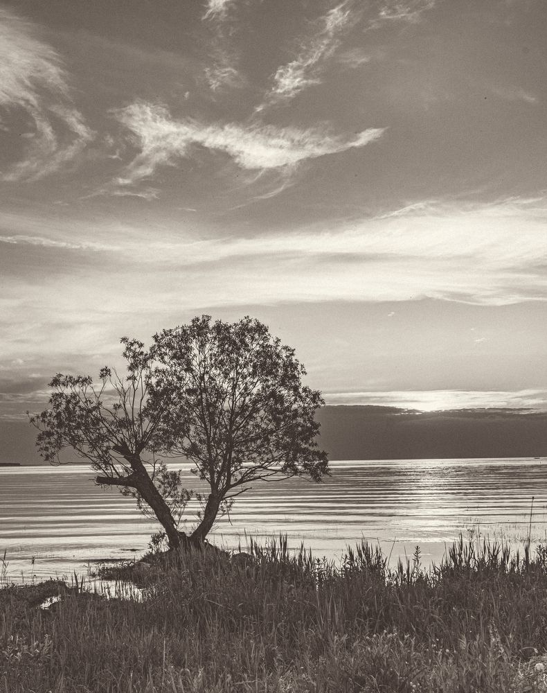 Photograph by Sergey Batyi