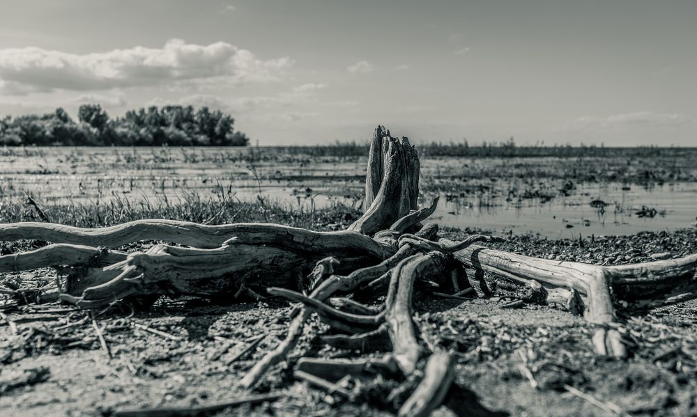 Photograph by Sergey Batyi