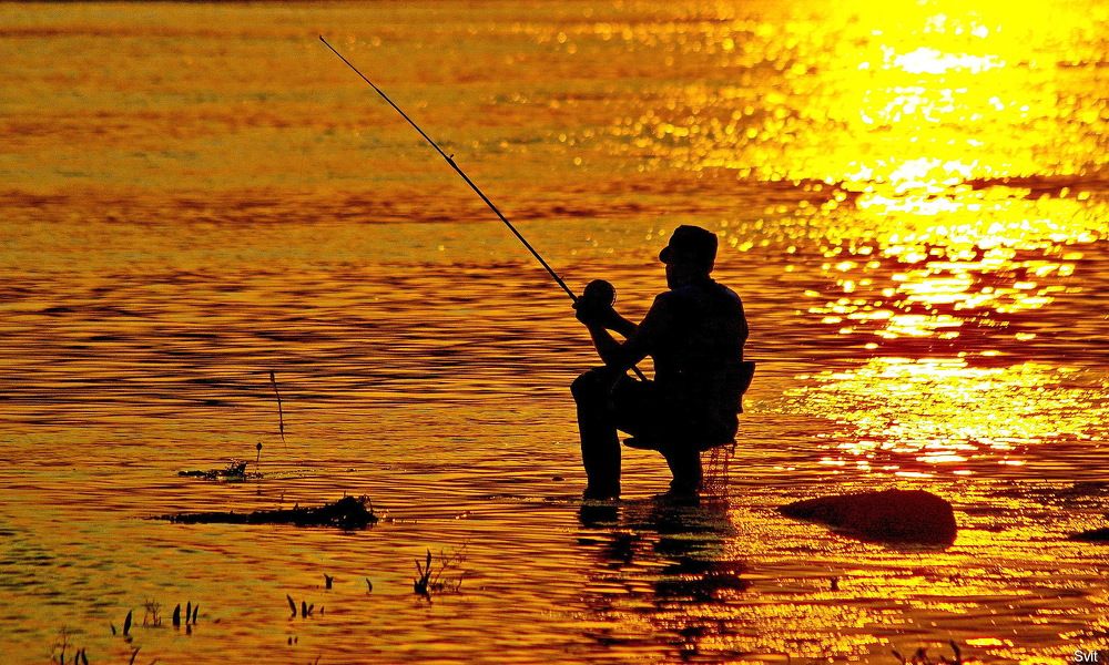 Photograph by Анатолий Святой