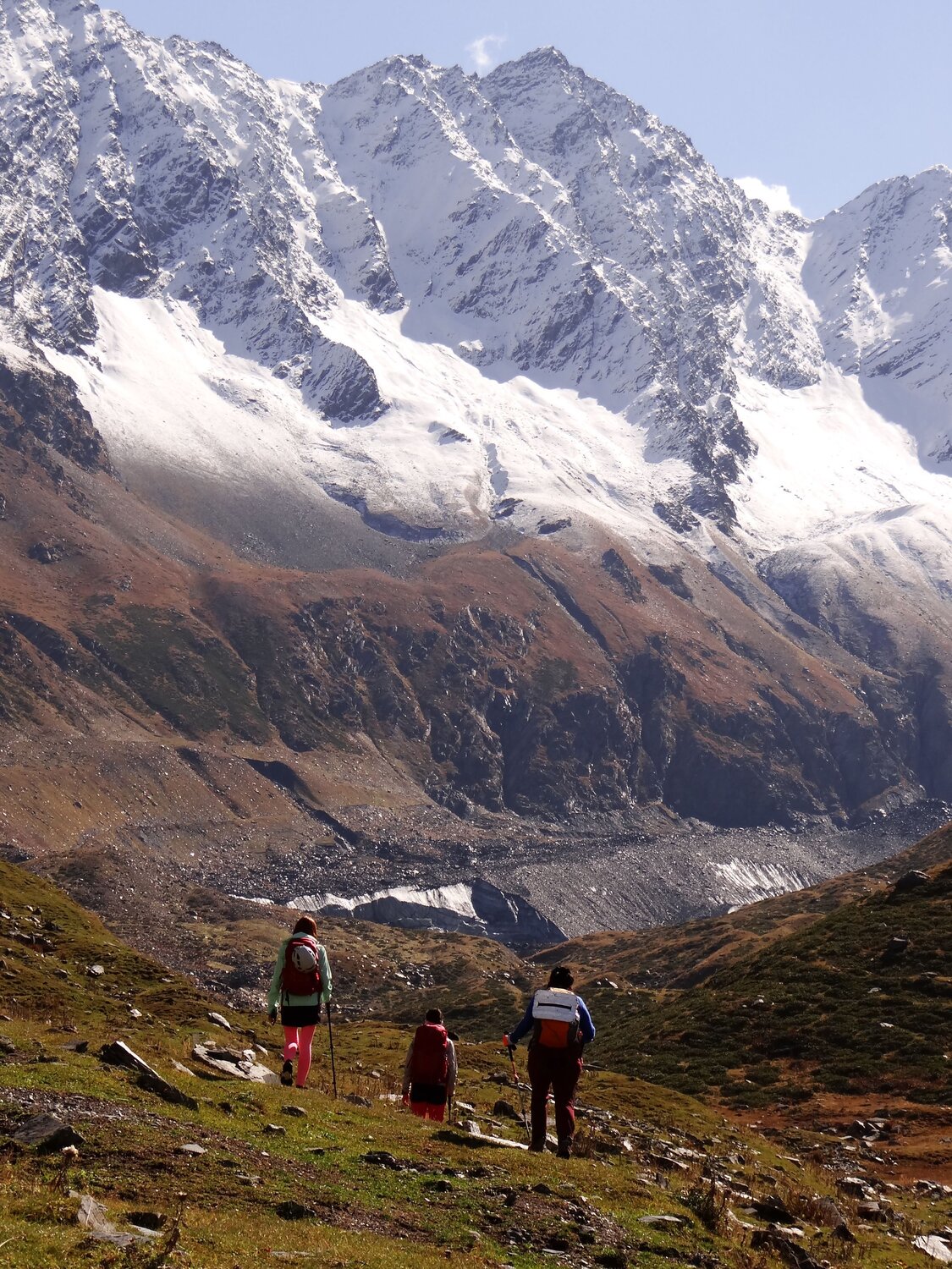 Photo #11495317
