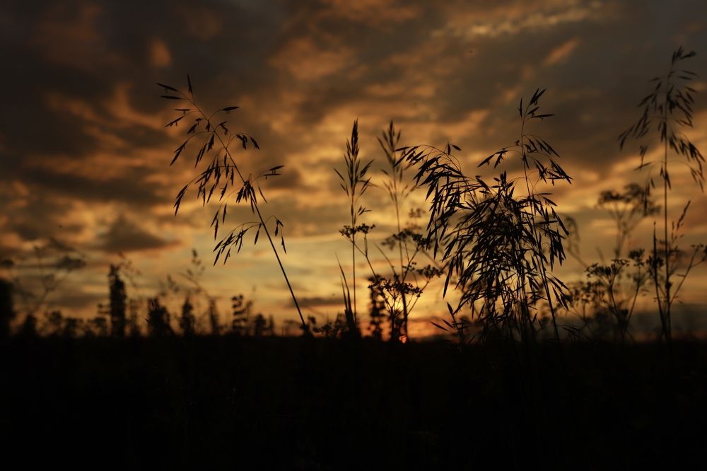 Photograph by Наталья Гусева