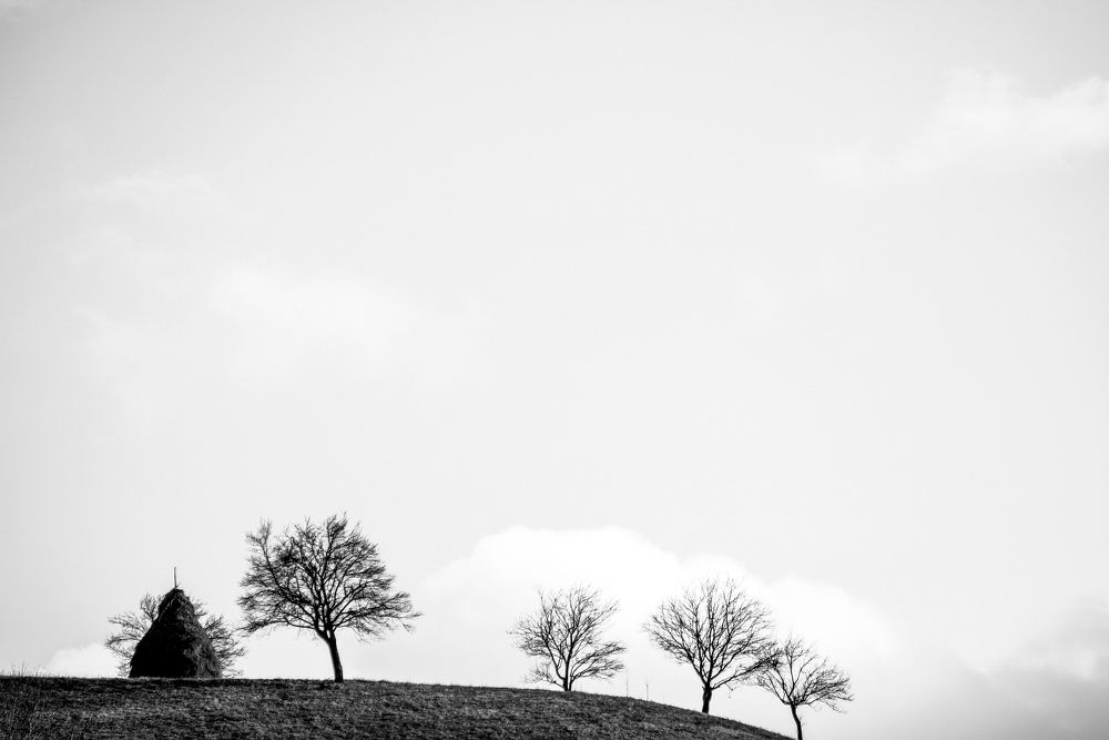 Фотография автора Abdullah Ibradžić