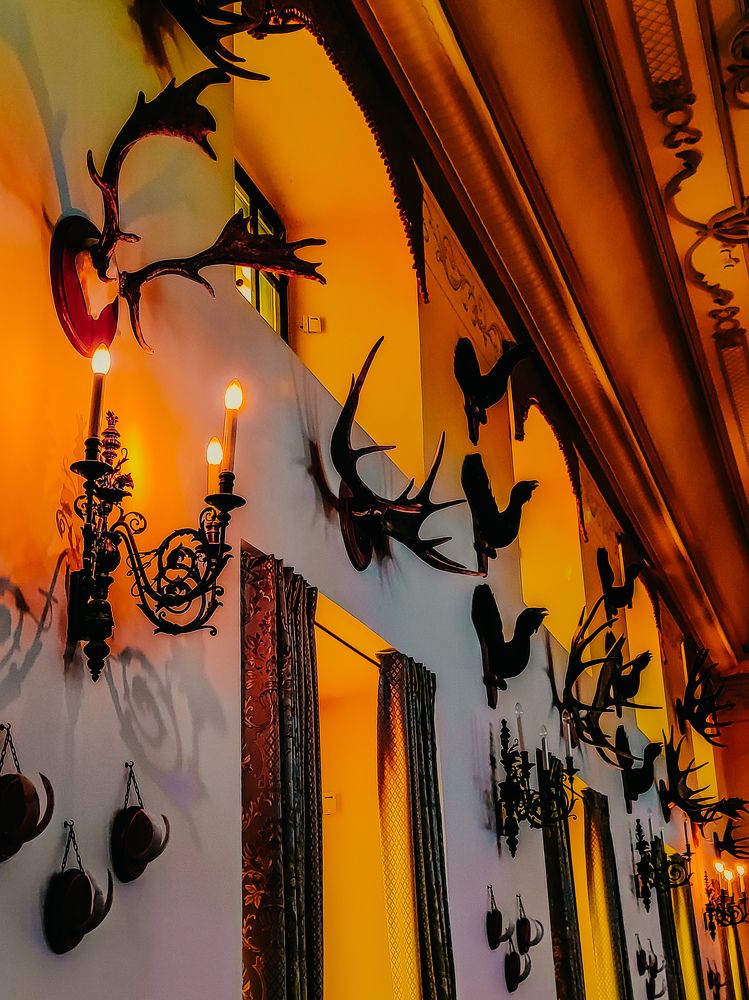 Фотография автора Алиса Исаева