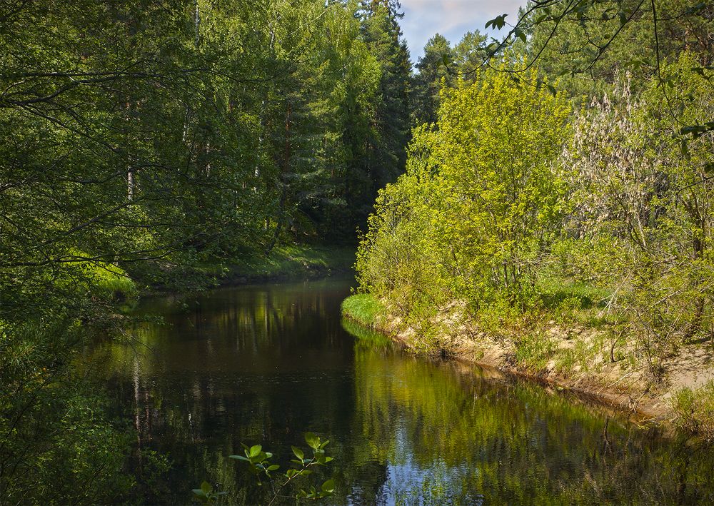 Photograph by Анатолий Максимов