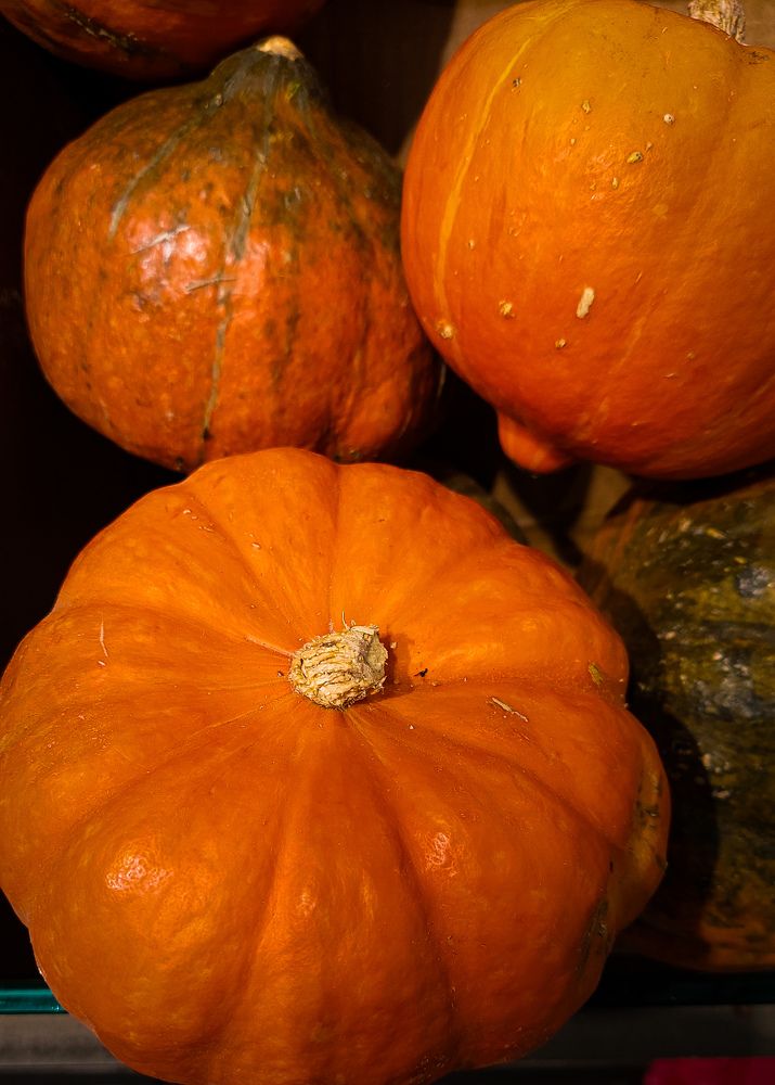 Photograph by Marharita