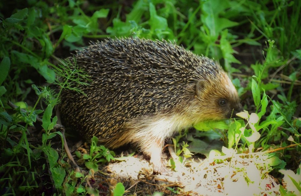 Photograph by Alyona Popova