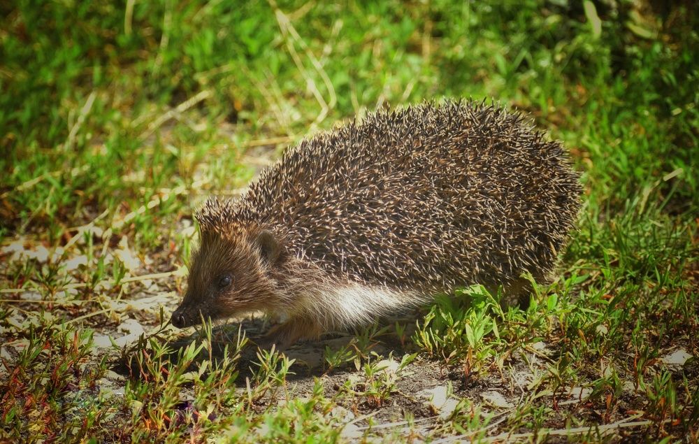 Photograph by Alyona Popova