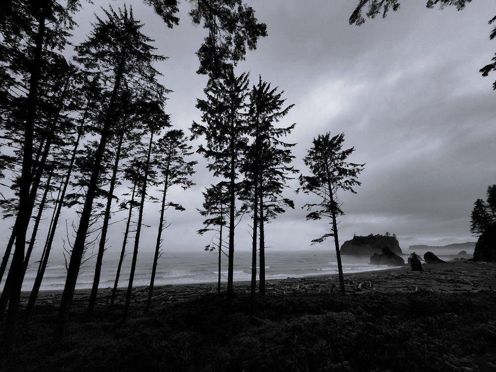 Photograph by G GOVIL