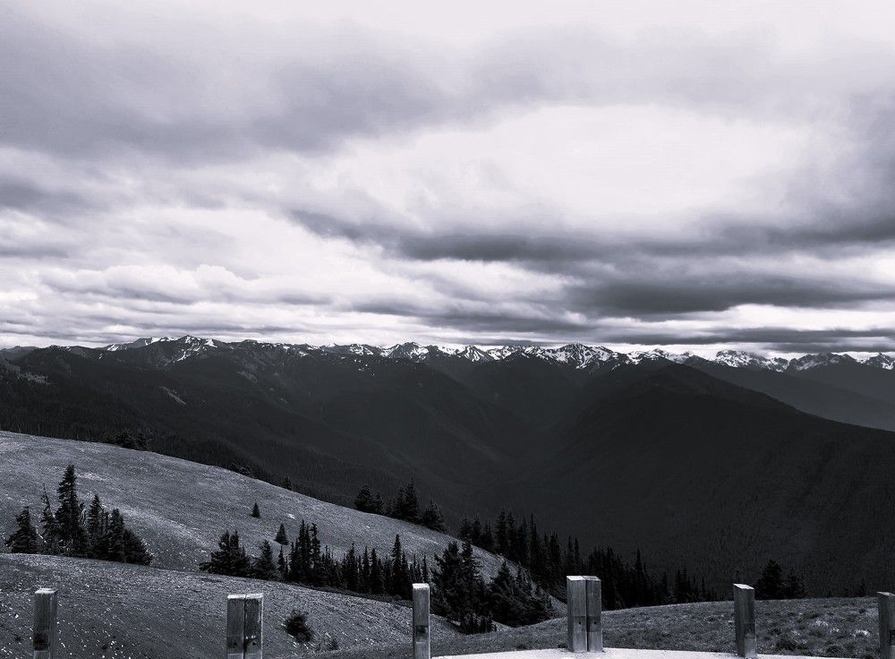 Photograph by G GOVIL