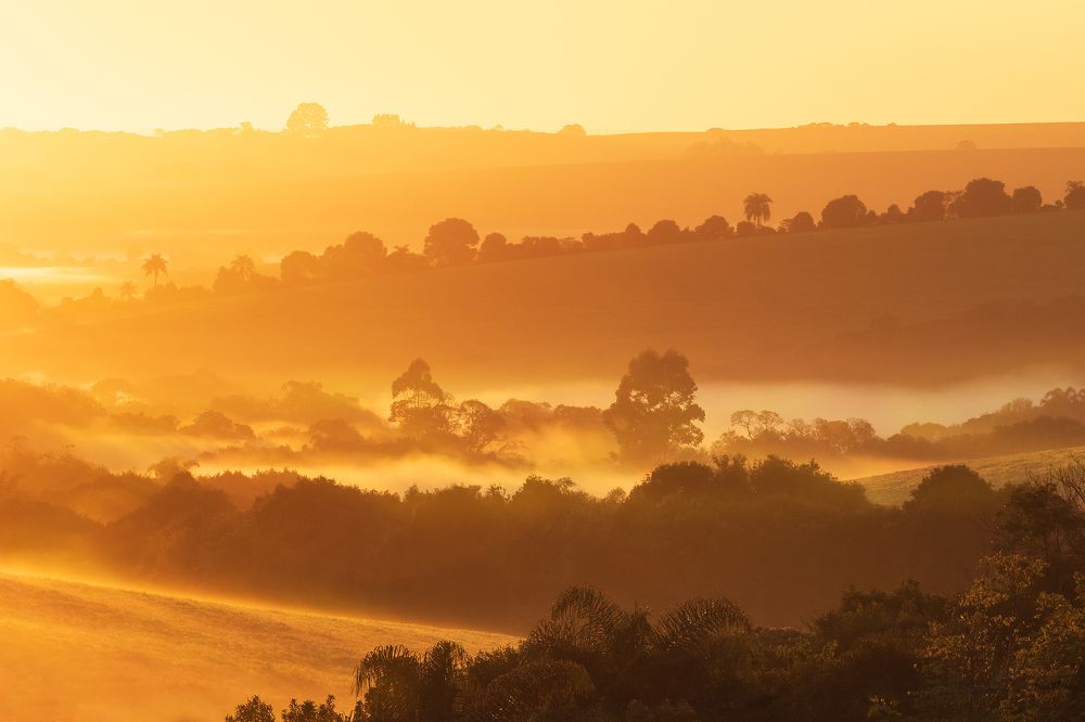 Photograph by Valdir Hobus