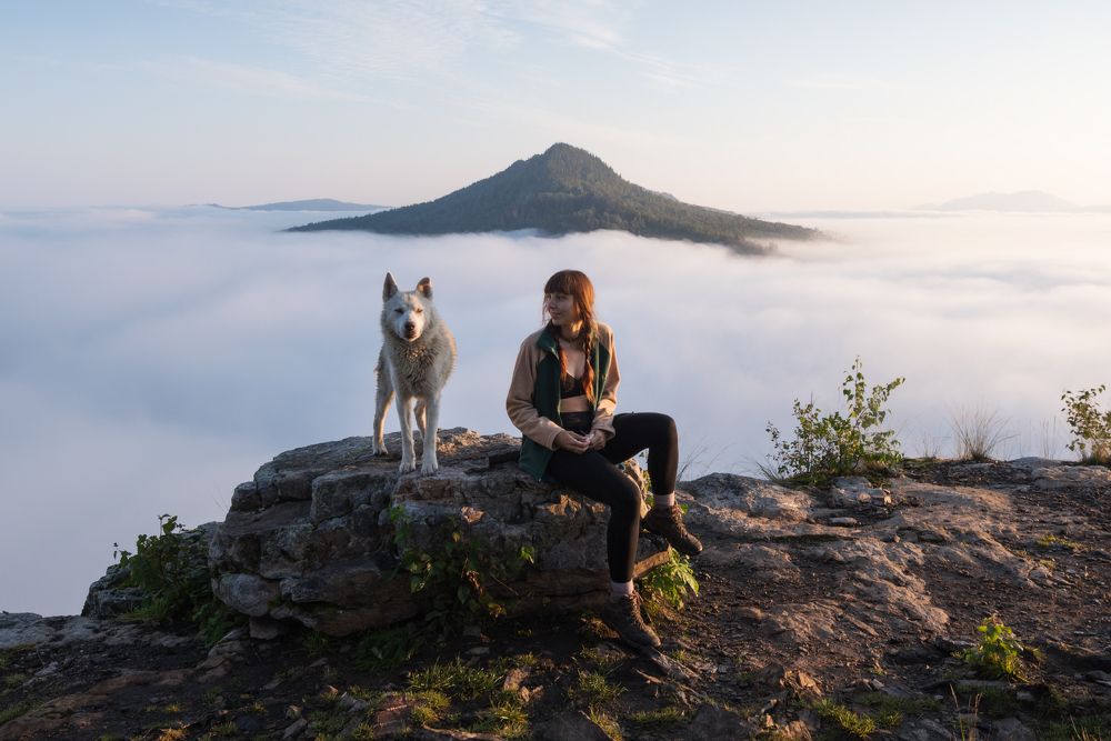 Фотография автора Алексей Проняхин