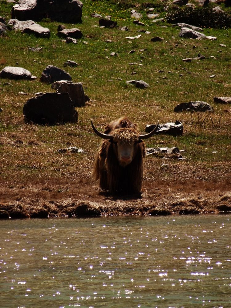 Photo #11495391