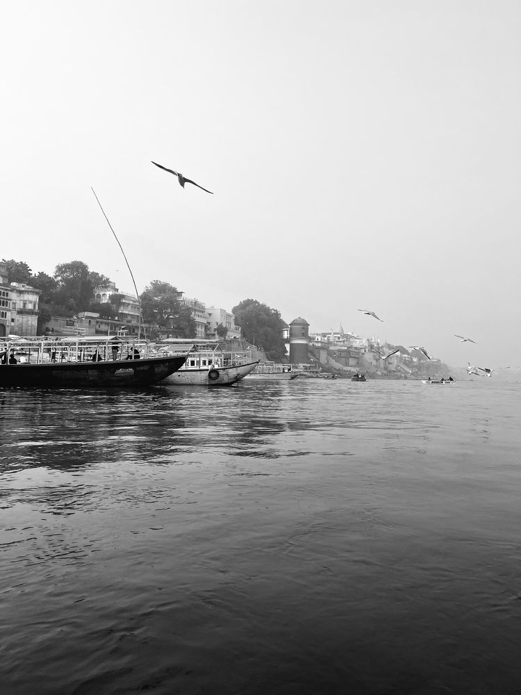 Photograph by KANHAIYA YADAV