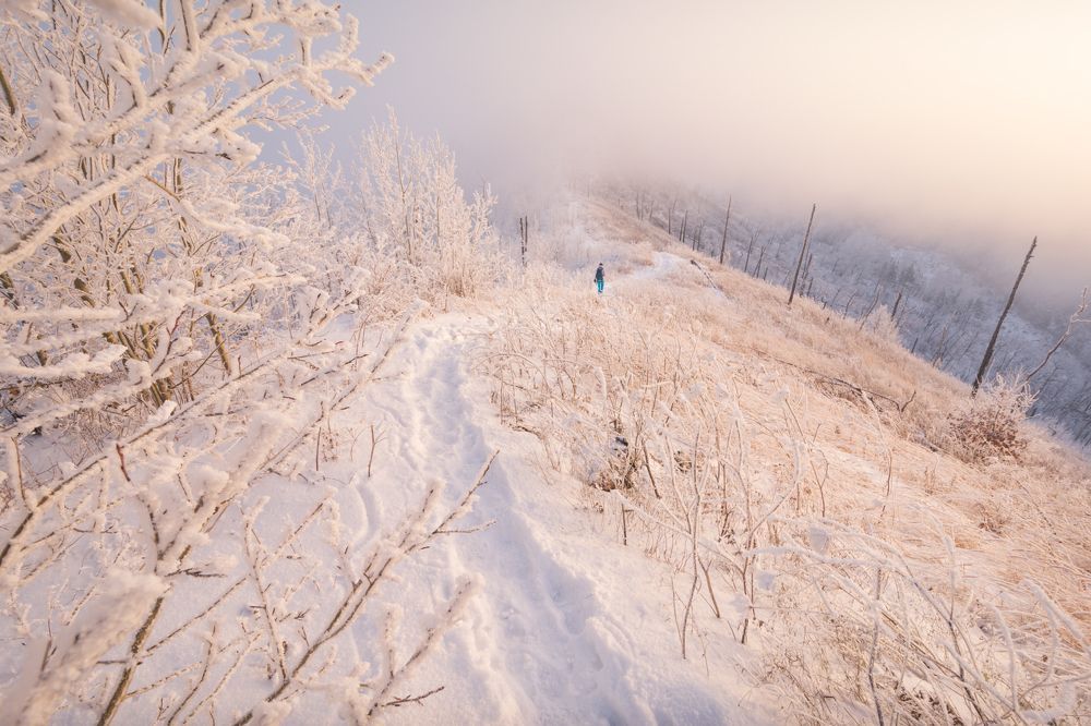 Фотография автора Алексей Проняхин