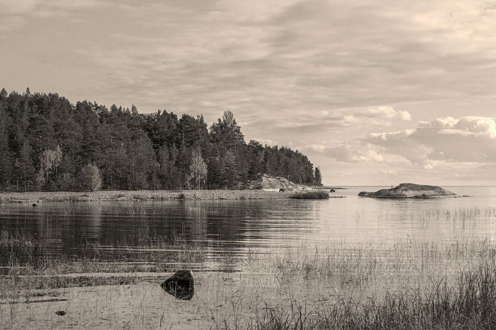 Photograph by Дмитрий Карасев