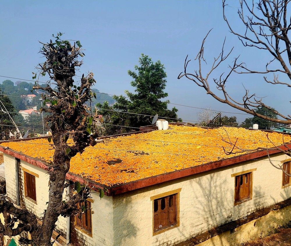 Photograph by G GOVIL