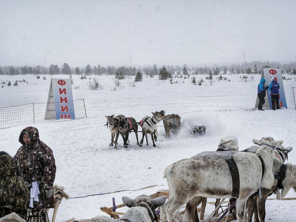 Photograph by Alexandr Klyuev