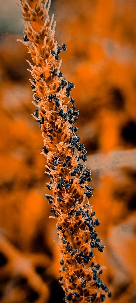 Photograph by Nаtaliia Zolotova