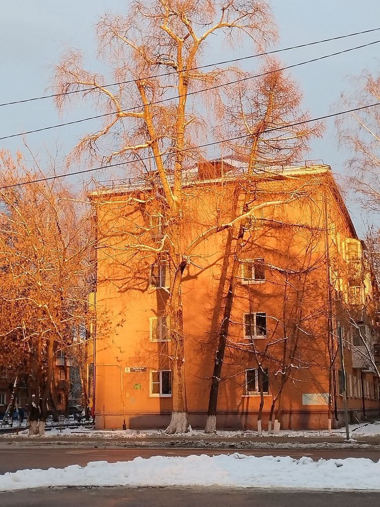 Photo #11495459