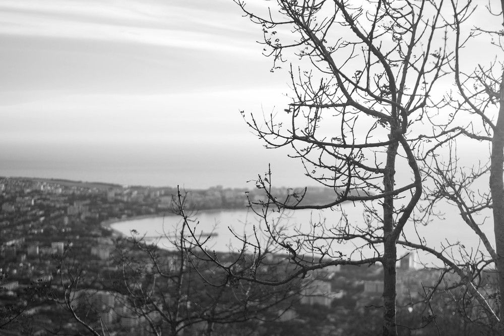 Photograph by Елена Казаренко