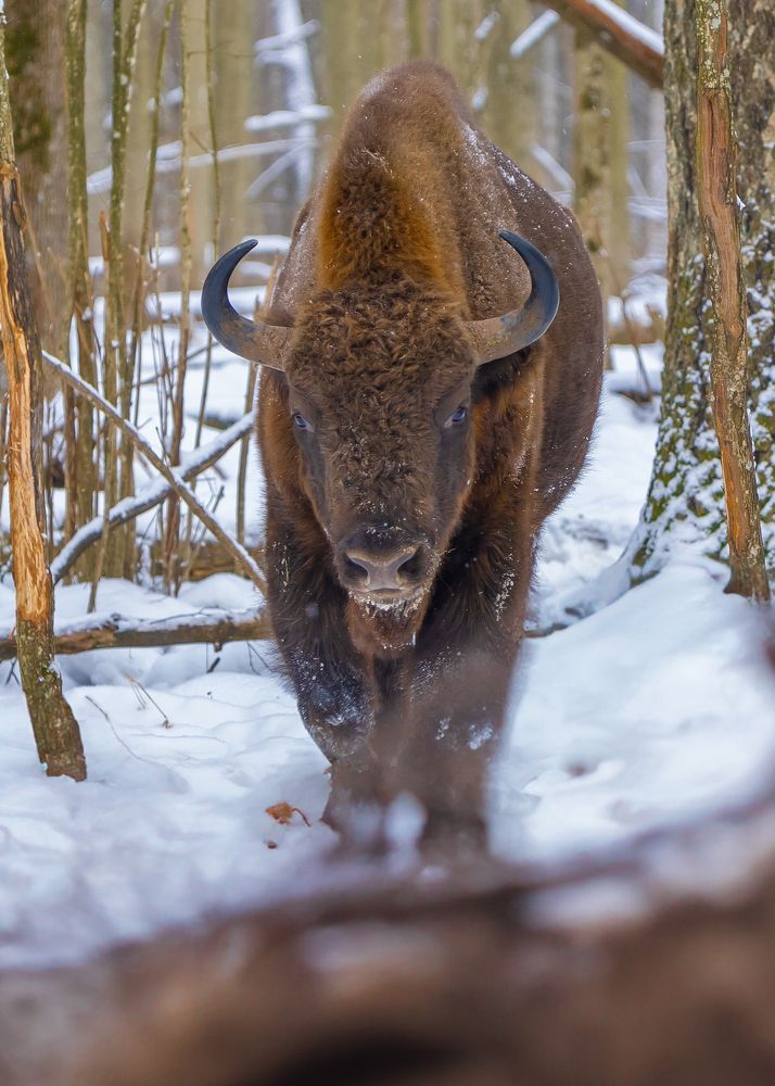 Photograph by Egor Ugrof